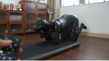 フィットネスの人型犬
